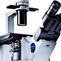 Olympus IX51 Microscope