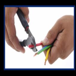Wire & Cable Assemblies