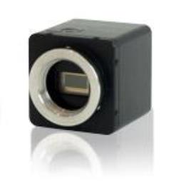 sCMOS cameras
