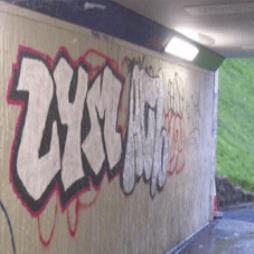 Anti Graffiti Coatings