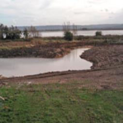 Water Habitiat Creation